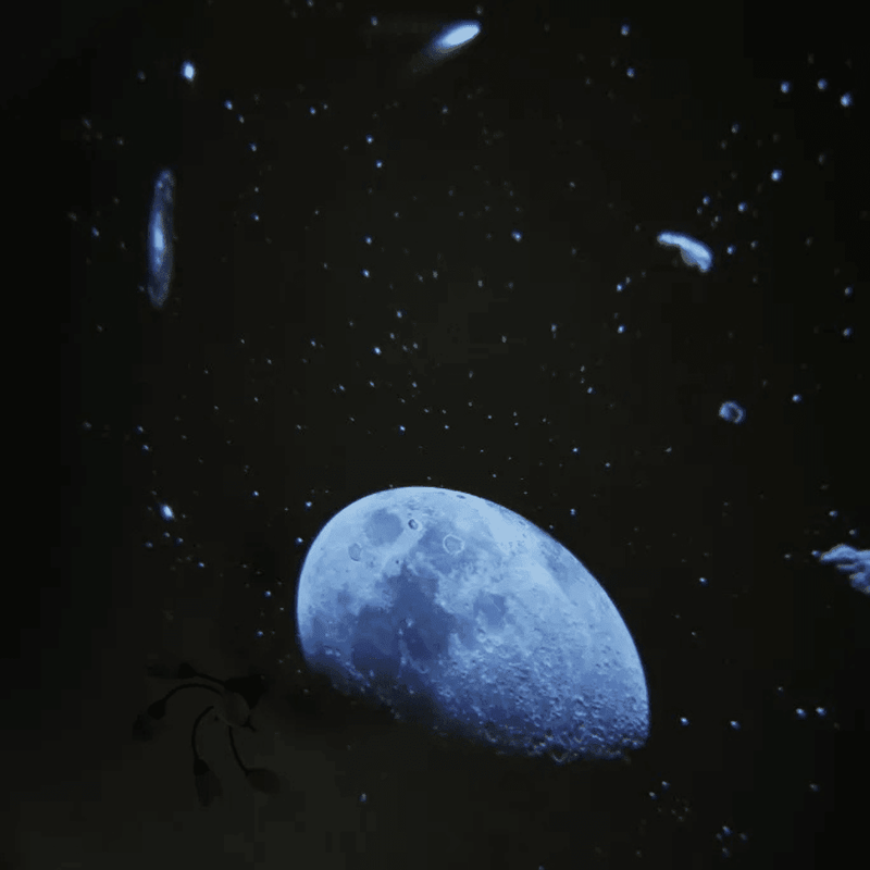 🧑‍🚀PROMOÇÃO ÚLTIMAS UNIDADES🚀Projetor de Céus LED: Projeção do Céu Estrelado - 12 Efeitos projetor lua Mil e Dois Descontos 